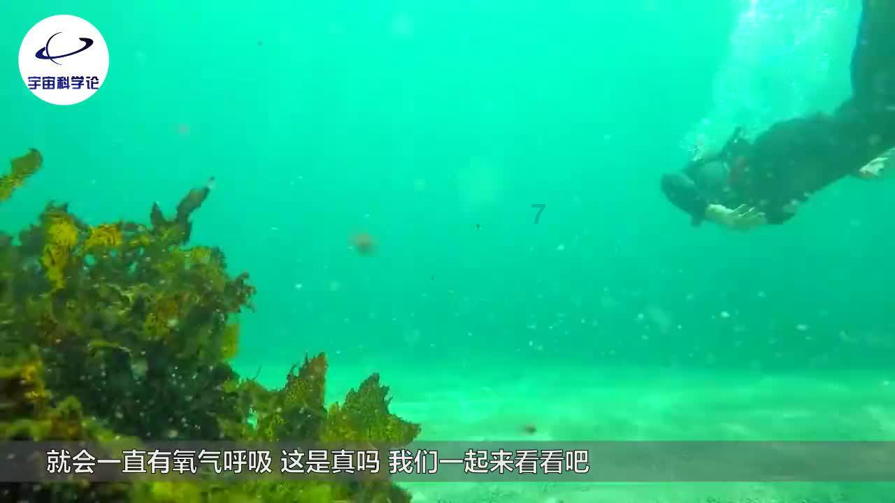 全民烧脑3去广告版