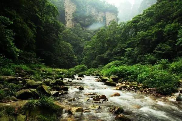 hahabet棋牌登录