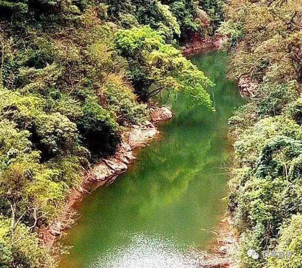 春雨直播app
